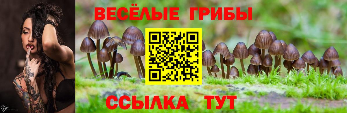 Псилоцибиновые грибы MAGIC MUSHROOMS Тихорецк