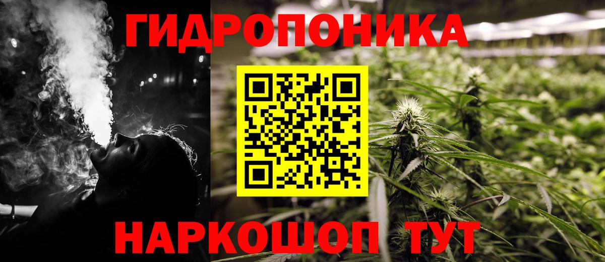 Шишки марихуана планчик Тихорецк